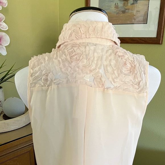 Sans Souci Sheer Blouse..NWT - Picture 4 of 6